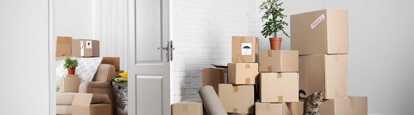 moverandpackersdubai