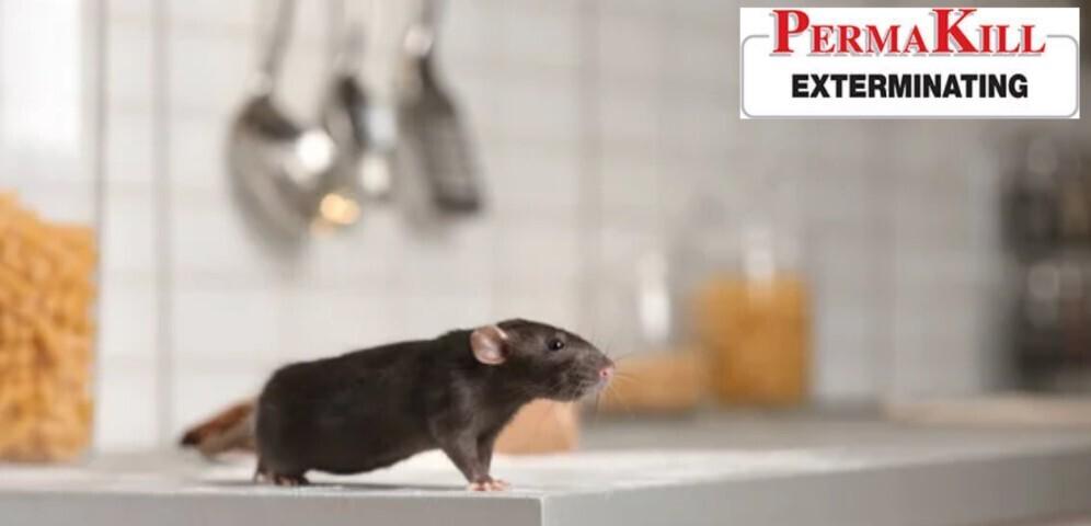 PermaKill