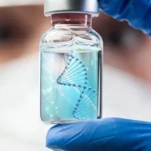 genesisregenerative